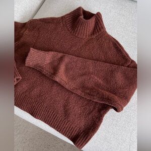 Aritzia Sunday Best Scottie Turtleneck Sweater